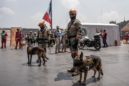 Zócalo CDMX Simulacro