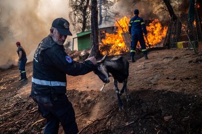  El Gobierno de España ha enviado este miércoles un avión anfibio Canadair de 5.500 litros de capacidad a Grecia para apoyar a este país en la extinción de los incendios forestales que se están produciendo en distintas islas. La salida de la aeronave ha sido a las 11.00 de la mañana, estando prevista su llegada a Grecia alrededor de las 20.00 horas (hora española) a la base de Elefsis, haciendo una parada técnica para repostar en Cerdeña.