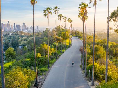 Una carretera jalonada de palmeras hacia el centro de Los Ángeles (California, EE UU).