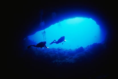 Una de las experiencias submarinas más fascinantes de Andros, en Bahamas, es explorar las maravillosas cuevas de coral de Petrified Forest, el bosque petrificado.