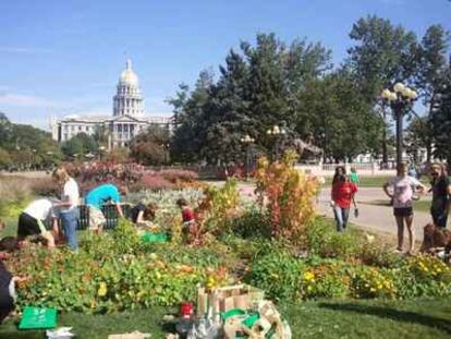 Un grupo de voluntarios trabajan en el huerto instalado en un jardín público frente al Capitolio de Denver (Colorado, Estados Unidos).