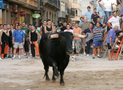 Espectáculo de 'bous al carrer', en septiembre pasado en Burriana.