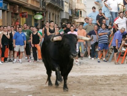 Espectáculo de 'bous al carrer', en septiembre pasado en Burriana.