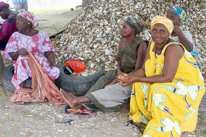 TRY Oyster Women’s Association agrupa a más de 500 mujeres distribuidas en 15 comunidades a lo largo de la Reserva natural de Tanbi, que se extiende en torno a la desembocadura del río Gambia. Esta asociación ha conseguido que el Gobierno gambiano la proteja y le otorgue los derechos exclusivos de explotación. Por eso, estas mujeres están tan preocupadas por su reforestación y cuidado. Del bienestar de sus manglares depende el sustento de sus familias.
