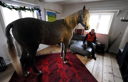 Stephanie Arndt mira a Nasar, su caballo de tres años de raza árabe a quien ha acogido en su casa para protegerlo del temporal "Xavier" en la ciudad de Holt, Alemania.