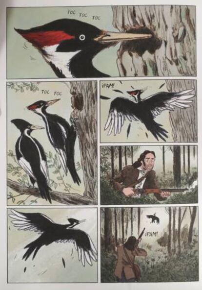 Una página de 'Sobre las alas del mundo, Audubon'.