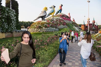 Dubai Miracle Garden, el jardín más grande del mundo: en sus 72.000 metros cuadrados crecen más de 109 millones de flores.