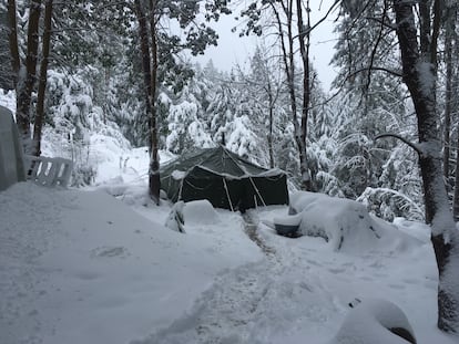 Carpa donde los 'trimmers' dormían y cocinaban en la organización búlgara situada en Alderpoint, en 2019.