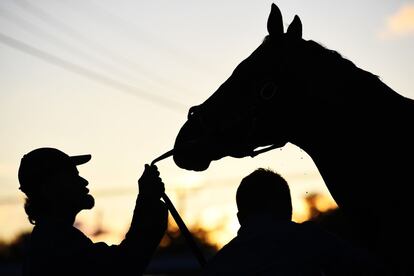 Un mozo sujeta las riendas de un caballo mientras recibe un baño durante entrenamientos matutinos en Churchill Downs, Louisville, EE UU.