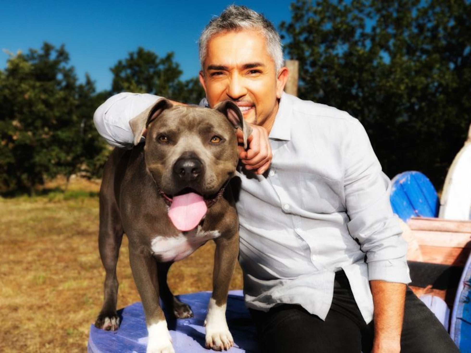 El encantador de perros', César Millán, investigado por crueldad animal | Noticias de actualidad | EL PAÍS