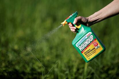 Una mujer utiliza el producto Roundup de Monsanto.