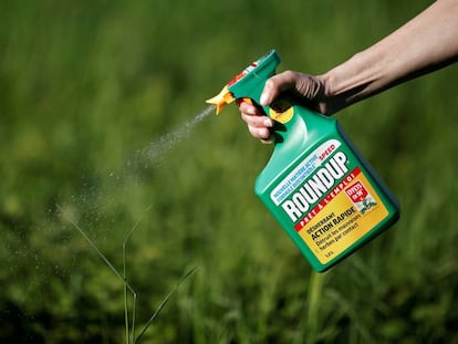 Una mujer utiliza el producto Roundup de Monsanto.