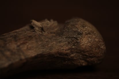 En una de las costillas del mastodonte cuyos restos se encontraron en el yacimiento de Manis (Estado de Washington), se aprecia incrustada la punta de lanza, de hueso de un animal de la misma especie.
