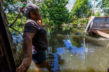 Se estima que el Orinoco alcanzó este año su mayor nivel en cuatro décadas. El gobierno también vigila los ríos Amazonas, Cataniapo, Arauca, Apure y Caroní, que se encuentran en "niveles críticos".