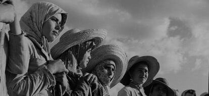 Fotografía de la exposición de Carlos Saura.