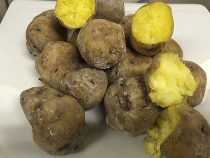 Papas canarias, ese tesoro…