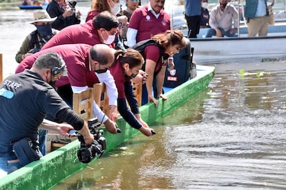 Los alcaldes morenistas lanzan al agua varios de los anfibios durante el polémico acto.