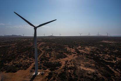 El parque eólico Jepírachi en La Guajira, el 4 de marzo de 2023.