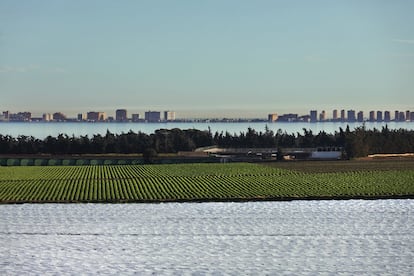 Campos de cultivo próximos al Mar Menor.