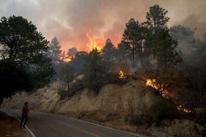 Las llamas han consumido más de 3.500 hectáreas de territorio forestal.