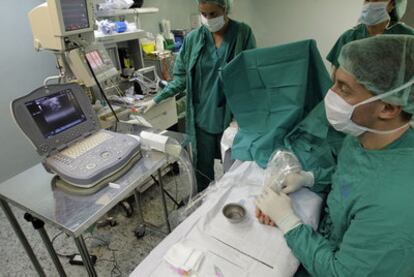 José Manuel Rojo (hospital Gregorio Marañón, Madrid) observa en el ecógrafo la intervención de túnel carpiano a Pilar Exojo.