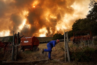 Álvaro Rodríguez se dirige a sacar a sus vacas hacia una zona segura cuando el fuego se aproxima a la localidad de Villanueva de la Sierra, Zamora, este jueves. 