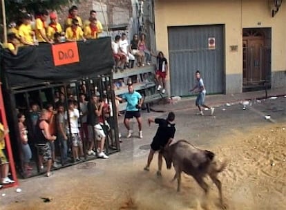 El último fallecido en <i>bous al carrer,</i> de negro, instantes antes de golpearse mortalmente el martes contra la valla del fondo, en Benifairó de Les Valls.