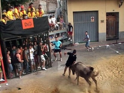 El último fallecido en <i>bous al carrer,</i> de negro, instantes antes de golpearse mortalmente el martes contra la valla del fondo, en Benifairó de Les Valls.