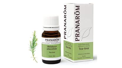 Aceite esencial de árbol del té de Pranarôm