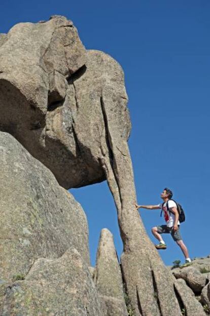 El Elefantito, de las peñas zoomorfas más conocidas de La Pedriza (Madrid). 