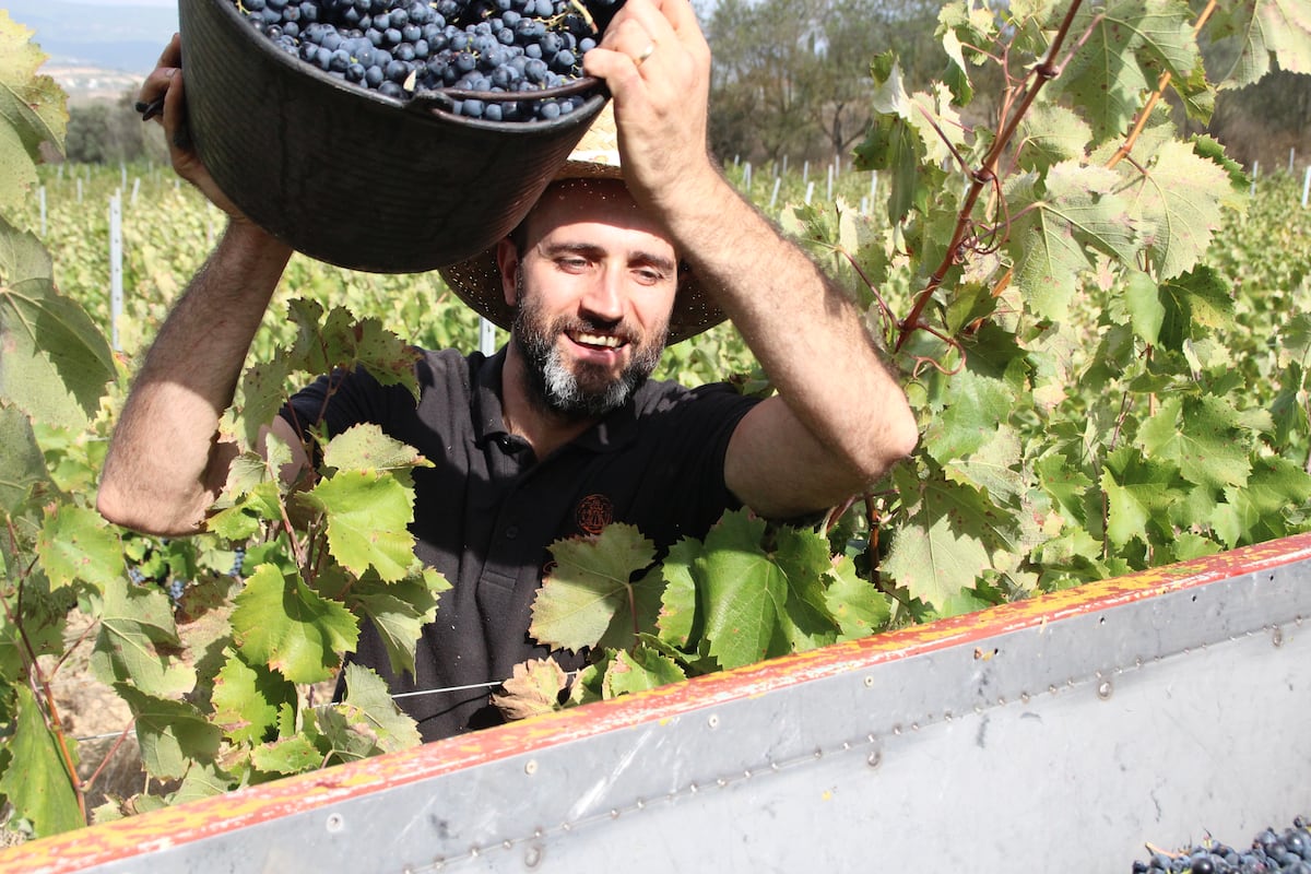 Las 15 familias ‘pata negra’ del cava | Beber | Gastronomía