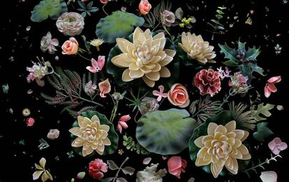 Una colección de diferentes especies de flores recolectadas de distintas playas de Hong Kong durante tres años expuesta en 'Herbarios imaginados'.