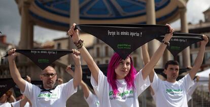 Pacma activists protesting the Sanfermines in Pamplona.