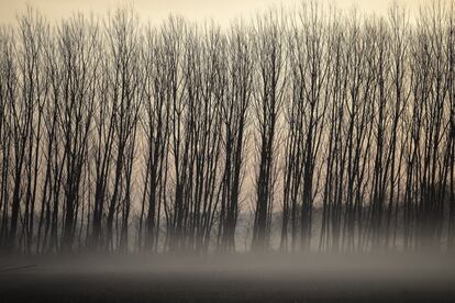 La niebla cubre el paisaje durante la madrugada en la frontera greco-turca cerca del pueblo de Marasia (Grecia).