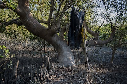 Los Sundarbans, en Bangladés, pueden ser un destino vacacional ideal para muchos, pero la vida es diferente para los habitantes de Nehru Pally, un pueblo situado en sus límites. Hogar también del tigre de Bengala, la vida es un reto para quienes residen aquí y comparten su espacio vital con este temible vecino. Lamentablemente, los únicos aseos a los que pueden acceder la mayoría de los habitantes de la zona están situados en el límite de la selva, rodeados de láminas de plástico: “Un día salí para ir al baño y vi pasar a un tigre a poca distancia. Inmediatamente, volví a mi casa y cerré la puerta”, dice Kaushila de 50 años.