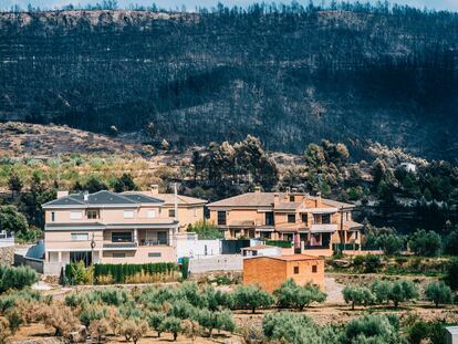 Panorámica de las inmediaciones de Bejís, el pasado lunes 22 de agosto.