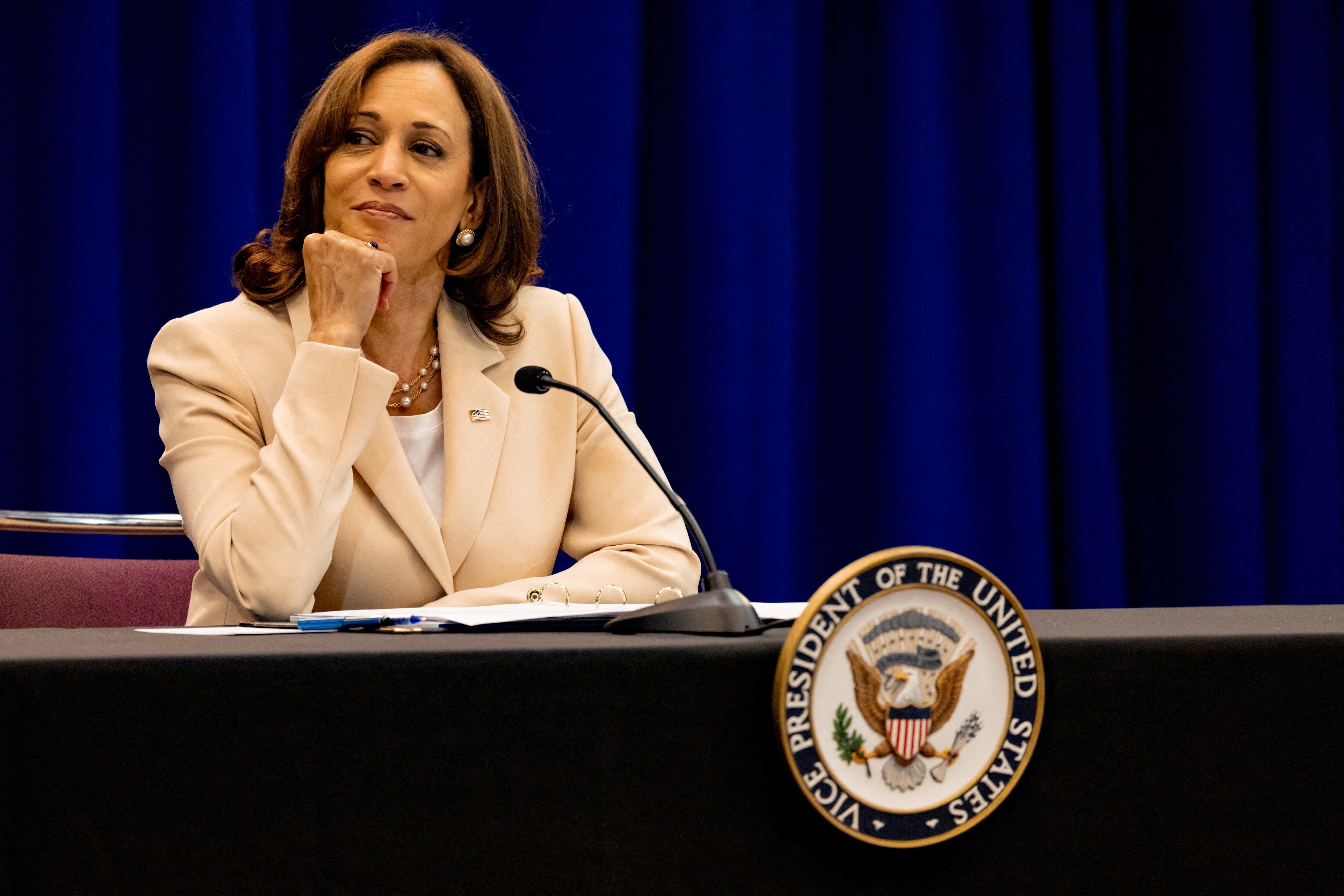 Kamala Harris suma apoyos de peso en su camino hacia la designación como candidata 