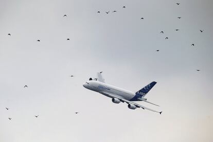 El Airbus A380 vuela entre aves en el cielo francés.