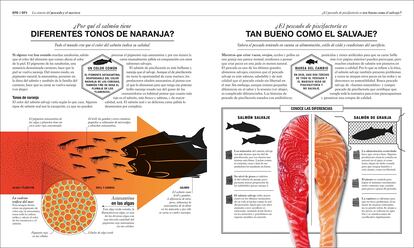 Interior de 'Cocinología', del Dr. Stuart Farrimond (DK Editorial).