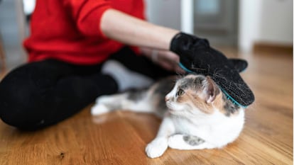 Esta clase de guantes también pueden ayudar a promover la circulación sanguínea en el animal.