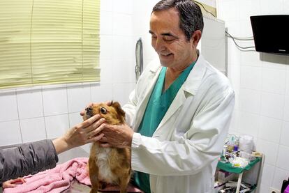 Juan Tamarit, en su consulta veterinaria.