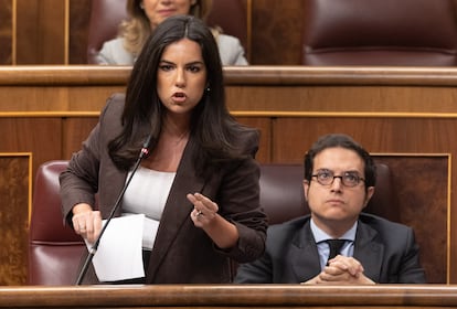 La portavoz de Vox, Pepa Millán, y su compañero José María Figaredo, en el pleno del Congreso el pasado día 9.