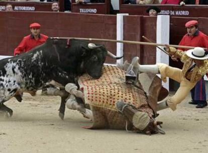 Uno de los novillos derriba al picador, ayer en Las Ventas.