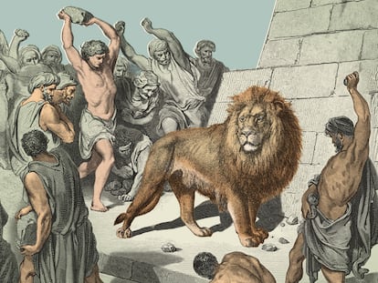 La dulzura del león