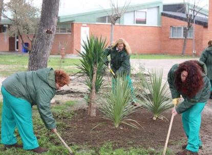 Internas de la cárcel Alcala-Meco hacen prácticas de jardinería