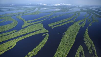 El archipi&eacute;lago Anavilhanas en el r&iacute;o Negro (Amazonas, Brasil).