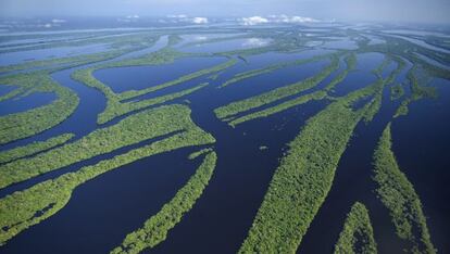 El archipiélago Anavilhanas en el río Negro (Amazonas, Brasil).