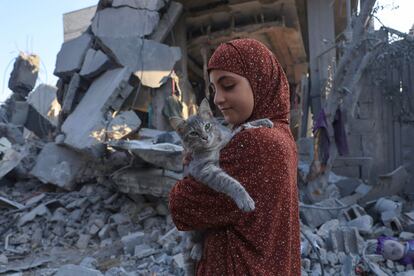 Una niña sujeta a un gato junto a los escombros de un edificio colapsado en Rafah, al sur de la Franja de Gaza.
