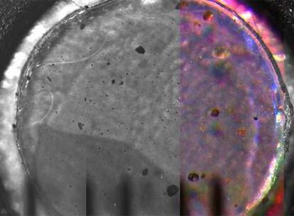 Imagen de la sonda Phoenix enviada a la NASA y tomada a través de su microscopio óptico