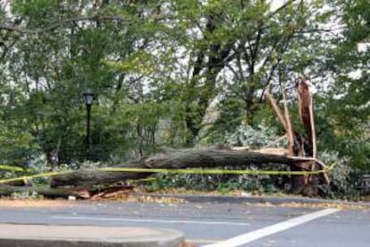 Una vía es afectada por árboles caídos, producto de los fuertes vientos en el Alto Manhattan, Nueva York (EE.UU.).